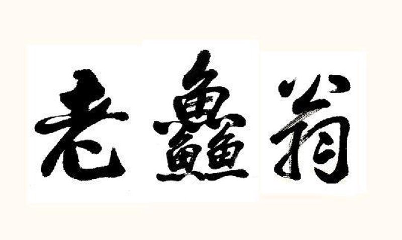 牛排的魅力:从选材到品尝